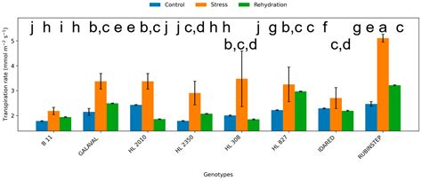 Water Deficit and Rehydration Reveal Genotypic Differences in Apple ...