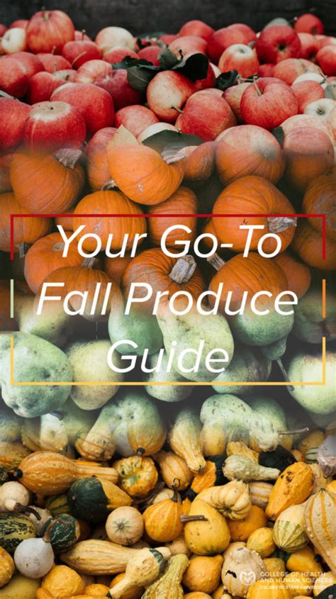Fall Produce 的图像结果