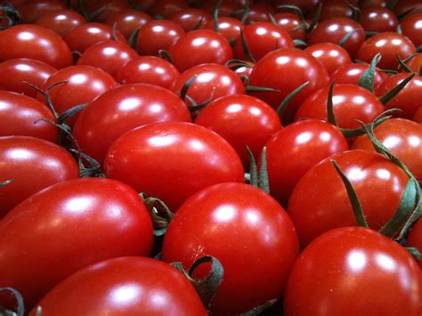 tomatoes – Fairfax Gardening