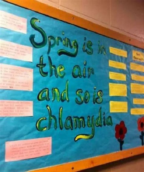 Spring Java Meme 的图像结果