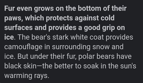 Adaptation of polar bears please - Brainly.in