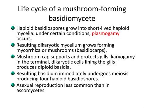 mushroom-morphology.pptx