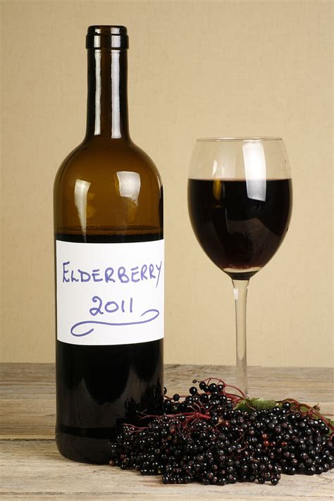 Elderberry Wine Recipe 5 Gallons | Besto Blog
