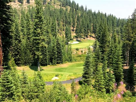 Coyote moon golf club- truckee California 👍👍👍♥️ | Truckee california ...