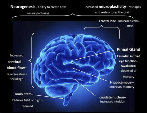 Function diagram – Artofit
