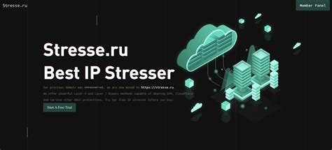 7 Best Free IP Stressers to Use