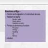 State the five Functions of ego - Brainly.in