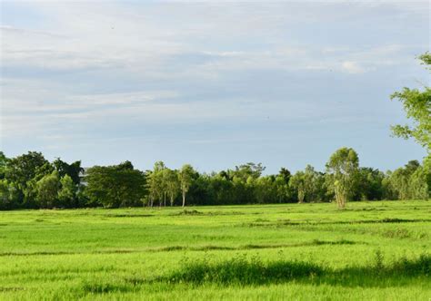 Undeveloped Land 的图像结果