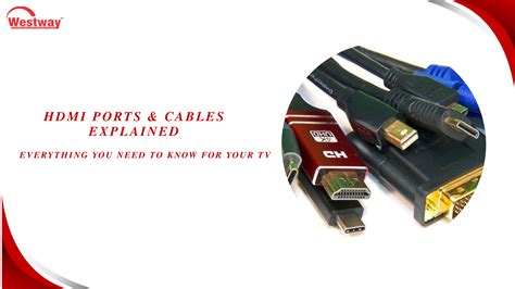 Computer Ports Explained 的图像结果