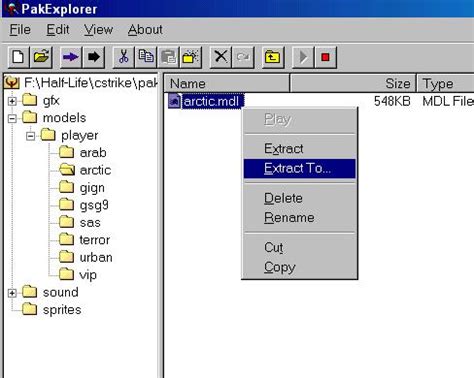 Image result for Open Pak Files on Windows