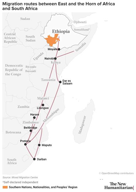 How growing hostility in South Africa impacts South-South migration | The New Humanitarian