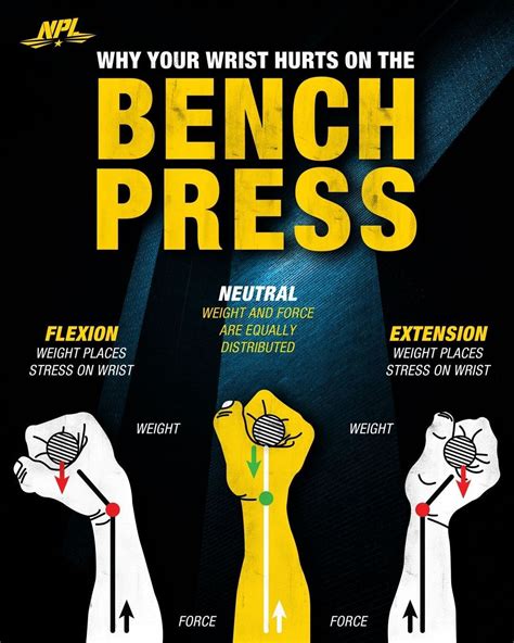 Gain Chest Mass And Boost Your Bench Press - GymGuider.com | Chest workout routine, Weight ...