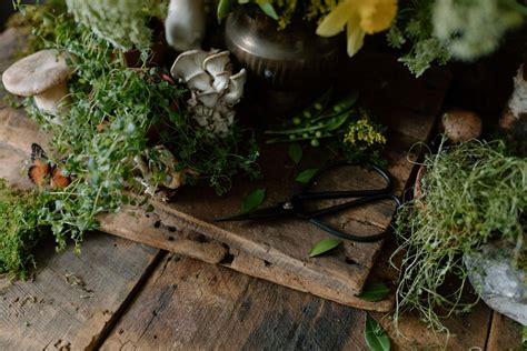 Mothers Day Floral Workshop, Vue Wine Bar, Charlevoix, 11 May 2024 ...