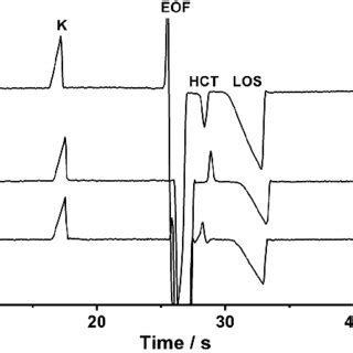 Electropherogram Interpretation 的图像结果