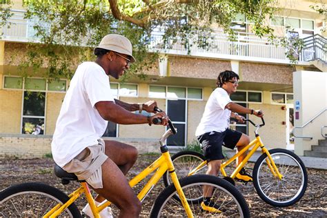 Yellow bike program online