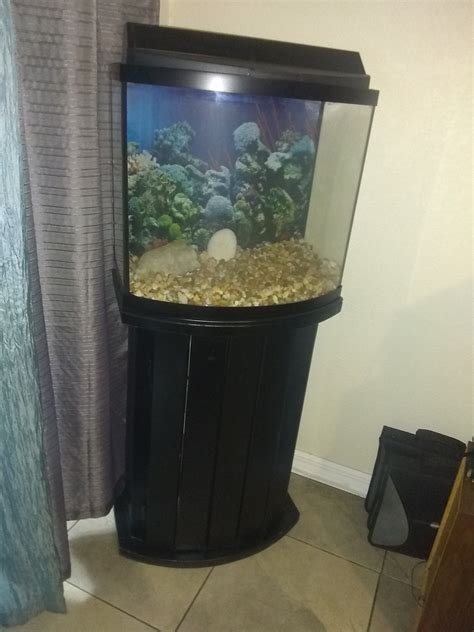 30 Gallon Bow Front Fish Tank. for Sale in Kissimmee, FL - OfferUp
