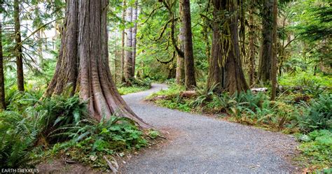 Olympic National Park – Earth Trekkers