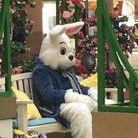 Image result for Awkward Easter Bunny