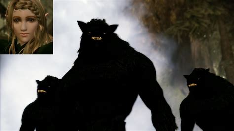 Dragon Age Origins Werewolf