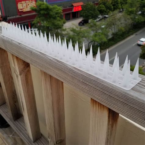 JingChun Bird Spikes, 17 inch Deterrent Spikes for Small Birds Pigeon ...