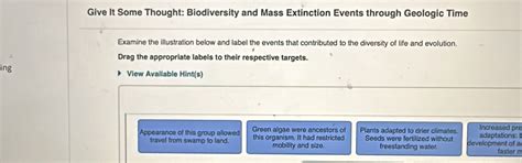 Solved: Give It Some Thought: Biodiversity and Mass Extinction Events ...