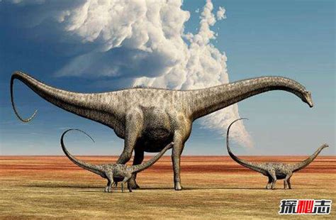 世界上最大的恐龙 地震龙可让大地地震体长超40米_探秘志