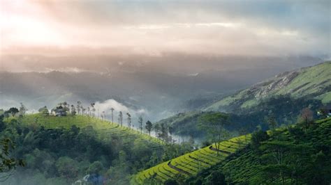 THE ULTIMATE KERALA EXPERIENCE MUNNAR, ALLEPPEY & THEKKADY 3 NIGHTS 4 ...