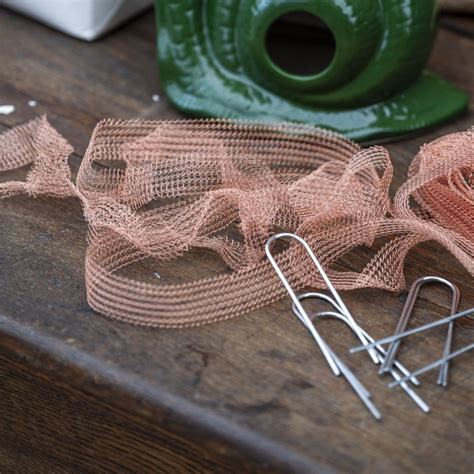 Buy The complete slug & snail prevention kit: Delivery by Waitrose Garden