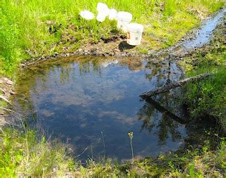 Image result for Tapping a Natural Spring