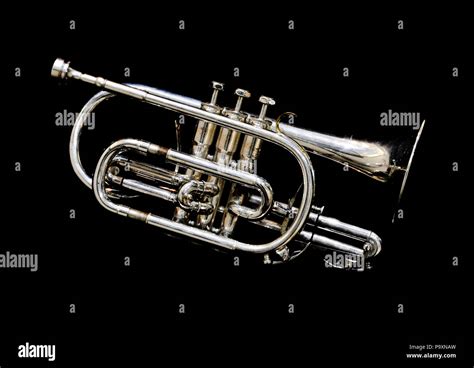 Image result for Cornet Musical Instrument