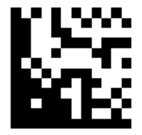 Image result for Data Matrix 2D Barcode Generator