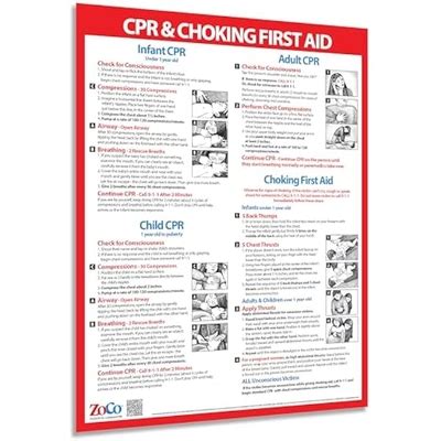 SafetyMagnets ZOCO CPR & Choking Poster Heimlich Maneuver & First India ...