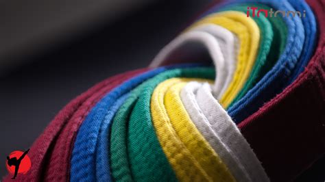 Judo Belts: Meaning and Grade Progression