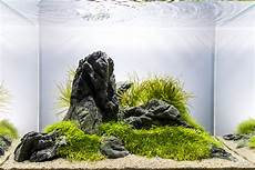ada aquascape aquascape no 4 ada 45p the planted tank forum ada aquascape aquascape no 4 ada 45p the planted tank forum