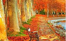 Nature High Resolution Fall Desktop Backgrounds by Cool Park Autumn Scenery In High Resolution Autumn Nature High Resolution Fall Desktop Backgrounds