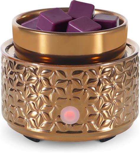 Amazon.com: copinpin Electric Wax Melt Warmer 4-in-1 Candle Warmer for ...