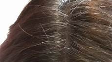 Black Walnut Hair Dye by Black Walnut Dye Experiment 1 Black Walnut Hair Dye
