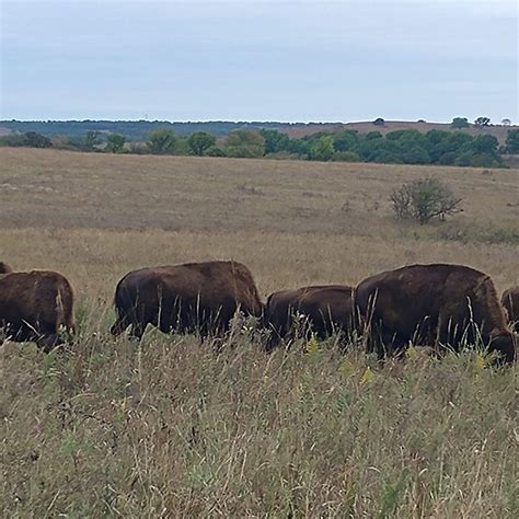 SETTLE INN RV PARK (Pawhuska) - Campground Reviews & Photos - Tripadvisor