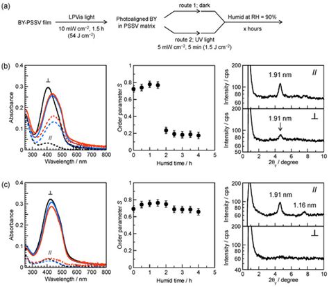 Photoalignment and Photofixation of Chromonic Mesophase in Ionic Linear ...