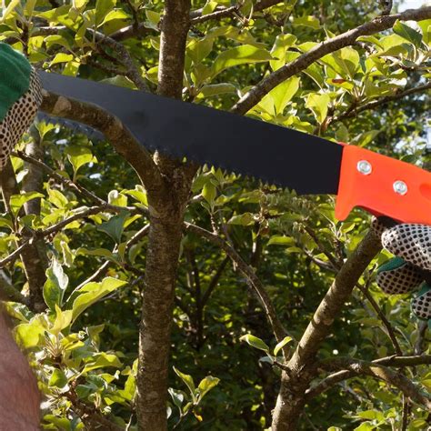 Buy Hand Pruning Saw for Tree Branch Cutter | DeoDap– Natation.in