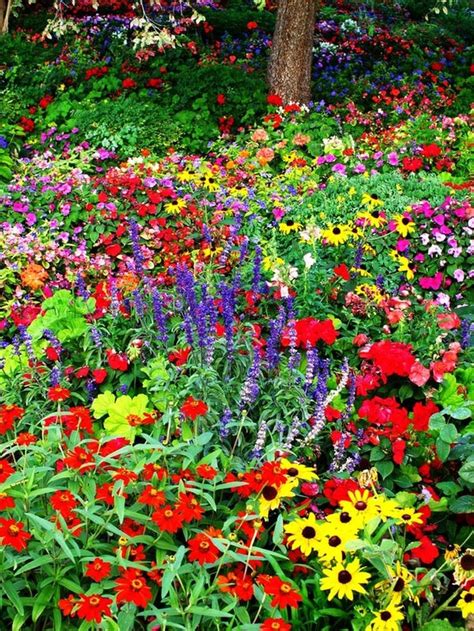 wildflower landscaping ideas