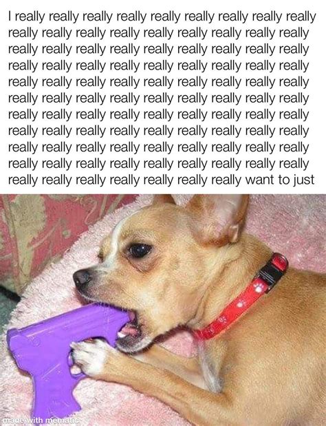My brain won't shut up : r/TrollCoping