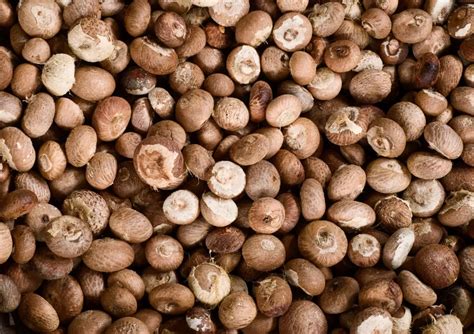 Arecanut Exports Down For Second Year, Fall To 2,396 MT In 2024-25 - BW ...