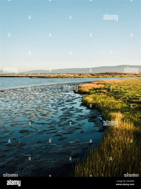 Wetlands at Baylands Nature Preserve, in Palo Alto, California Stock ...
