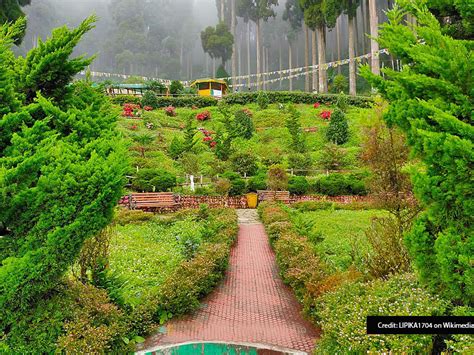 5 Offbeat Places To Tour On Your Darjeeling Holiday