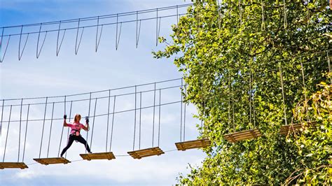 Days Out Near Me | Attractions Near Me