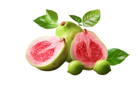 Image result for Guava Fruit Machine Learning Python Project