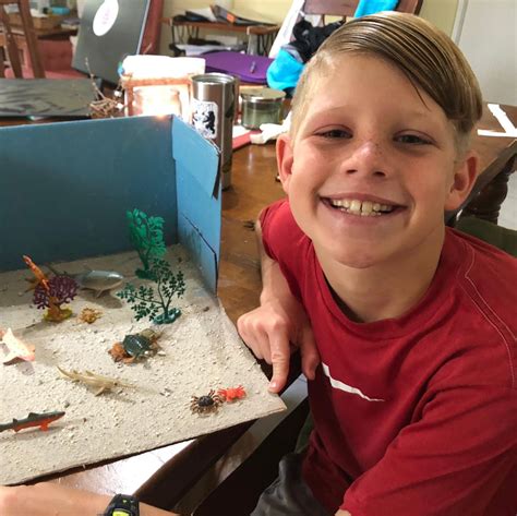 Online Christian Homeschool Science Curriculum & Video Courses ...