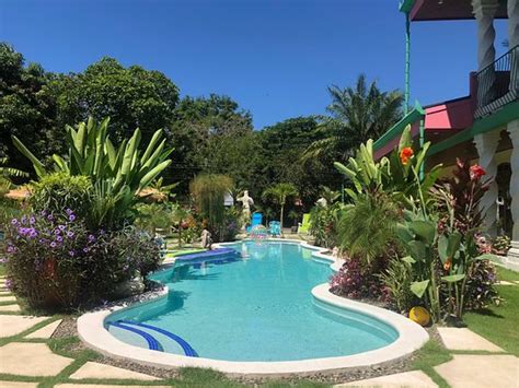 COCO BEACH VILLAGE (Costa Rica/Playa Matapalo) - B&B Reviews, Photos ...
