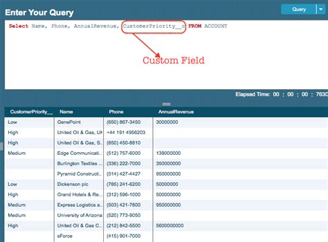 Image result for SOQL Query Using Workbench